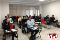 business-market-srl