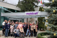 moldcell