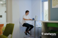 stefanini