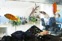 unifun
