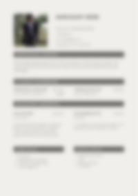 CV Preview