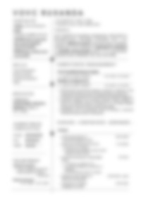 CV Preview