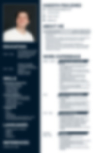 CV Preview