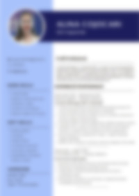 CV Preview