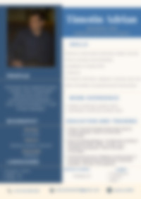 CV Preview