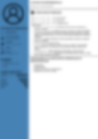 CV Preview