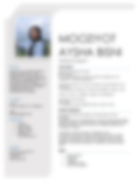 CV Preview