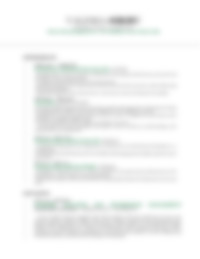 CV Preview