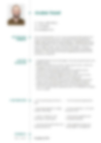CV Preview