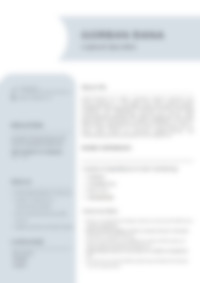 CV Preview