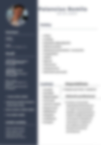 CV Preview