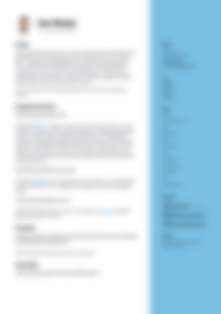CV Preview