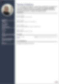 CV Preview