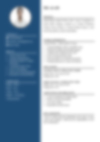 CV Preview