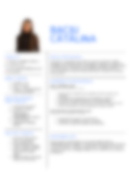 CV Preview