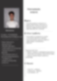CV Preview