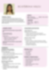 CV Preview