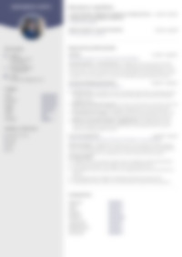 CV Preview