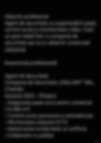 CV Preview