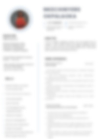 CV Preview
