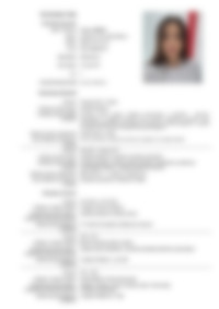 CV Preview