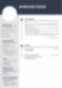 CV Preview