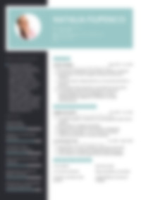 CV Preview