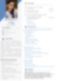 CV Preview