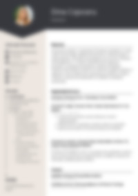 CV Preview