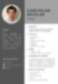 CV Preview