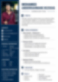 CV Preview