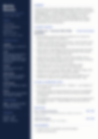 CV Preview