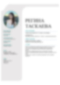 CV Preview