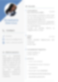 CV Preview