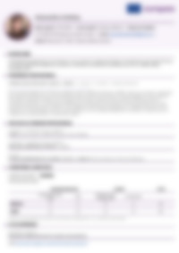 CV Preview
