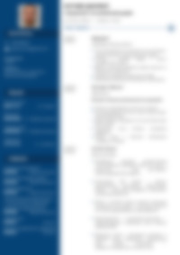 CV Preview
