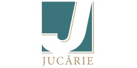 Jucărie SRL