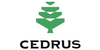 Cedrus