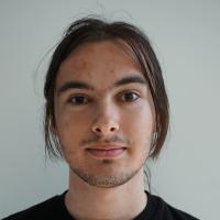 Lucrător, Internship IT
