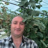 Оператор мойки