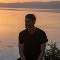 WordPress разработчик