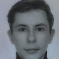 Traducător de engleză