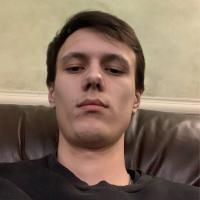 Программист C#/.NET